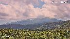 foresta2-20250729144036.jpg