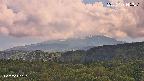 foresta2-20250729145037.jpg