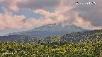 foresta2-20250729151035.jpg
