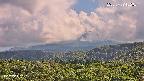 foresta2-20250729152035.jpg