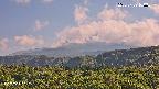 foresta2-20250729160035.jpg