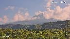 foresta2-20250729161035.jpg