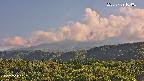 foresta2-20250729164035.jpg