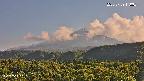 foresta2-20250729170035.jpg