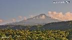 foresta2-20250729171037.jpg