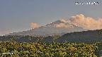 foresta2-20250729172036.jpg