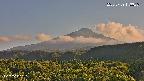 foresta2-20250729173036.jpg