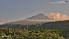 foresta2-20250729174037.jpg