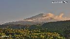 foresta2-20250729175036.jpg