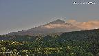 foresta2-20250729180035.jpg
