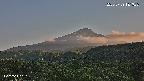 foresta2-20250729181037.jpg