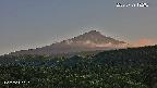 foresta2-20250729182036.jpg