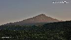 foresta2-20250729183035.jpg