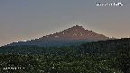foresta2-20250729184036.jpg