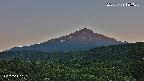 foresta2-20250729185035.jpg