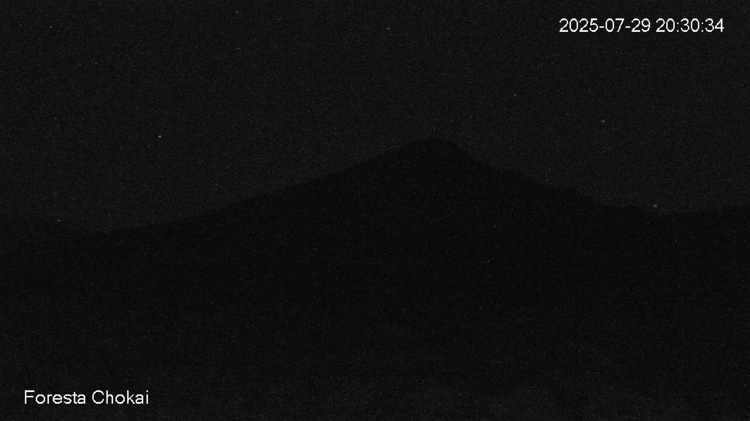 foresta2-20250729203034.jpg