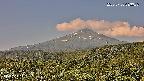 foresta2-20250730083036.jpg