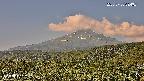 foresta2-20250730084035.jpg