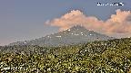 foresta2-20250730085035.jpg