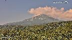 foresta2-20250730090035.jpg