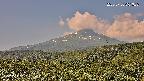 foresta2-20250730091036.jpg