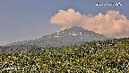 foresta2-20250730092035.jpg