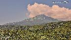 foresta2-20250730093036.jpg