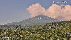 foresta2-20250730094035.jpg