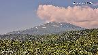 foresta2-20250730095035.jpg