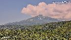 foresta2-20250730100036.jpg