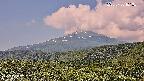 foresta2-20250730101035.jpg