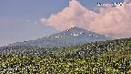 foresta2-20250730102035.jpg