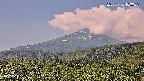 foresta2-20250730103036.jpg