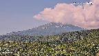 foresta2-20250730104035.jpg