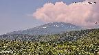 foresta2-20250730105037.jpg