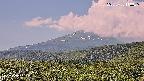 foresta2-20250730110036.jpg