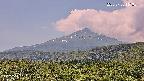 foresta2-20250730111035.jpg