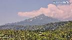 foresta2-20250730112036.jpg