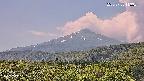 foresta2-20250730113035.jpg