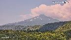 foresta2-20250730115036.jpg