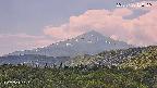 foresta2-20250730120107.jpg