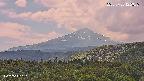 foresta2-20250730122037.jpg
