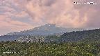 foresta2-20250730123035.jpg