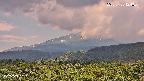 foresta2-20250730124035.jpg