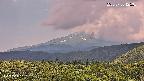 foresta2-20250730125036.jpg