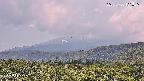foresta2-20250730131037.jpg