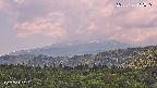 foresta2-20250730132035.jpg