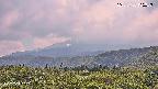 foresta2-20250730135036.jpg
