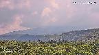 foresta2-20250730141036.jpg