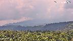foresta2-20250730142035.jpg